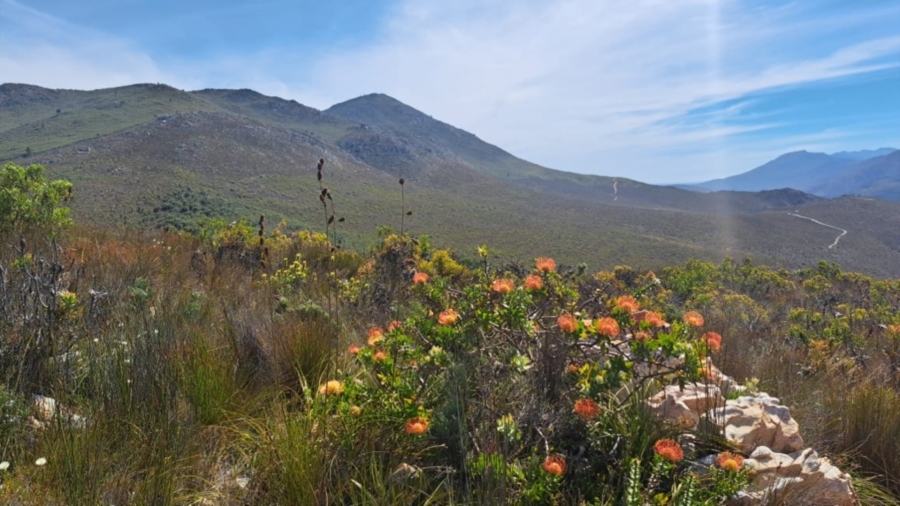 0 Bedroom Property for Sale in Caledon Rural Western Cape